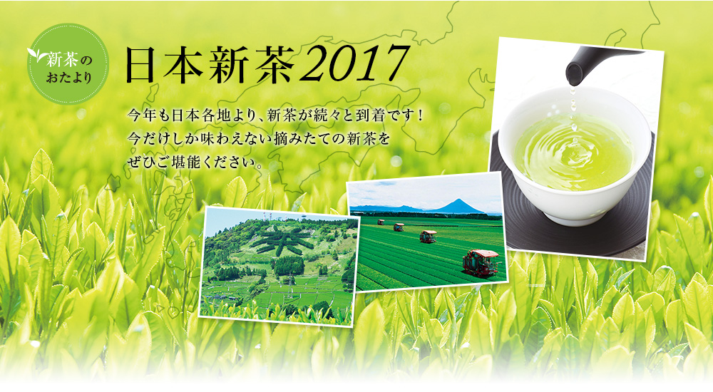 日本新茶 2017