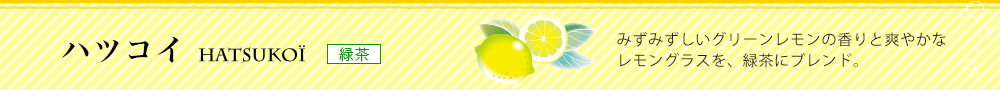 ハツコイ
