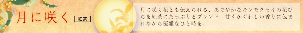月に咲く