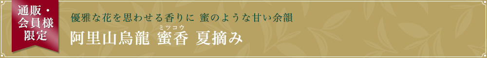 阿里山烏龍 蜜香 夏摘み