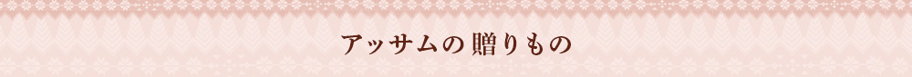 ギフトセット
