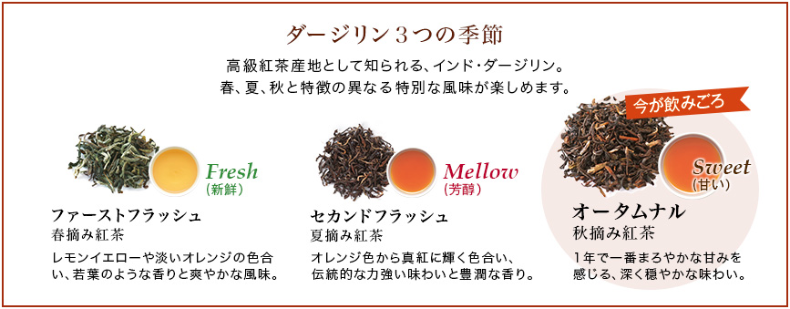ダージリン3つの季節