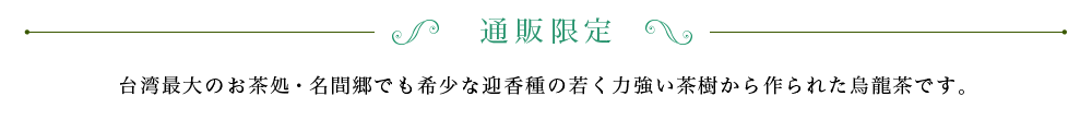 名間迎香 特級 冬摘み