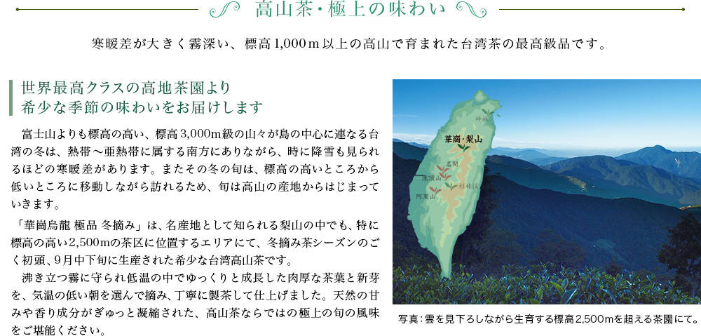 高山茶・極上の味わい