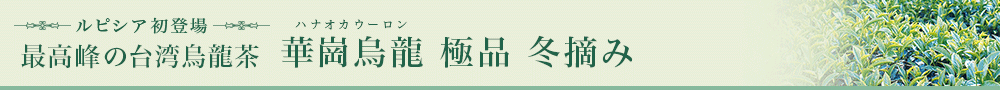 華崗烏龍 極品 冬摘み