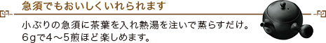 急須でもおいしくいれられます