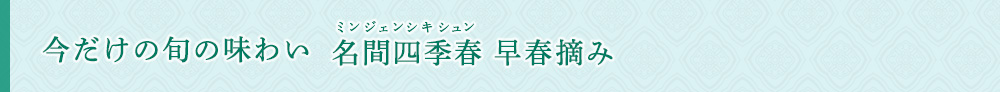 名間四季春 早春摘み