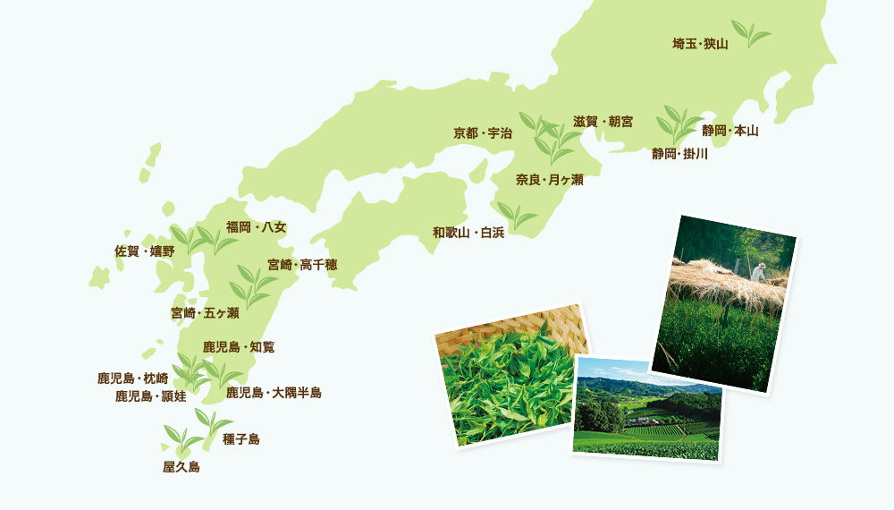 産地から選ぶ