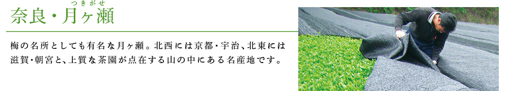 奈良・月ヶ瀬