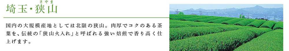 埼玉・狭山