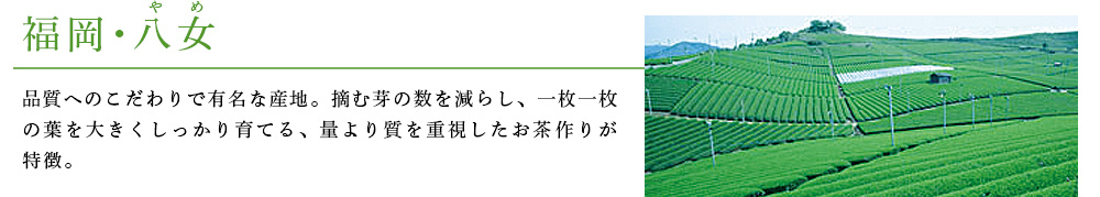 福岡・八女