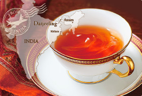 �_�[�W���� �Z�J���h�t���b�V��