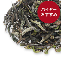 �T���O�}, 2013-DJ5