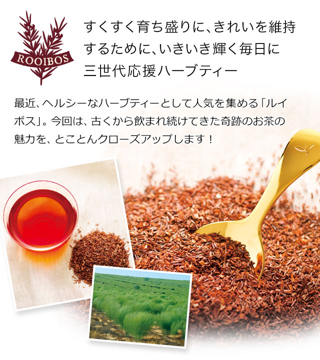 赤い藪（やぶ）の奇跡 ルイボス｜世界のお茶専門店 ルピシア