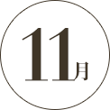 11月