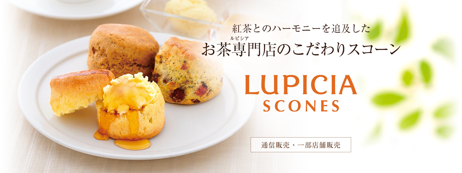 お茶専門店のこだわりスコーン