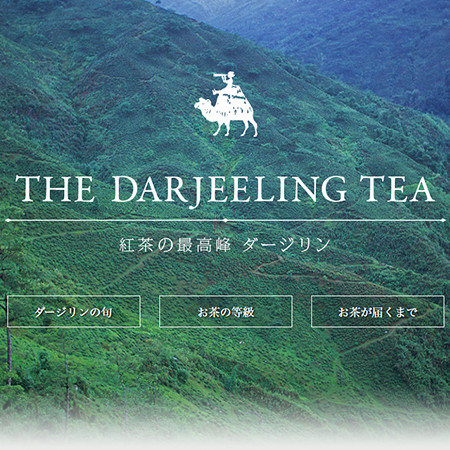 紅茶の最高峰 ダージリンTHE DARJEELING TEA