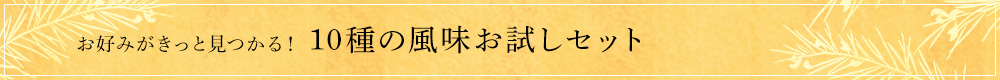 10種の風味お試しセット