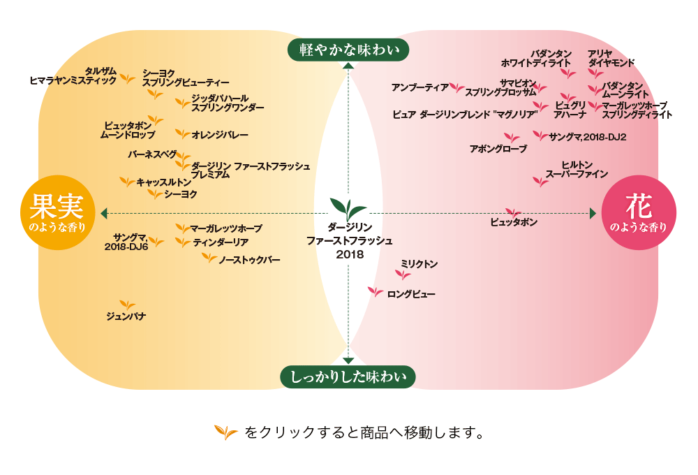 テイスティングチャート 2018