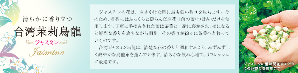 ジャスミン
