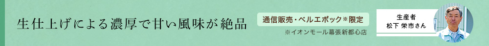 種子島新茶 松寿 生仕上げ 2021