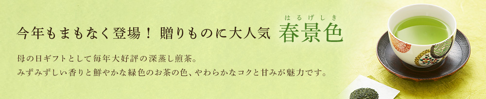 大隅新茶 さえみどり 「春景色」 2021