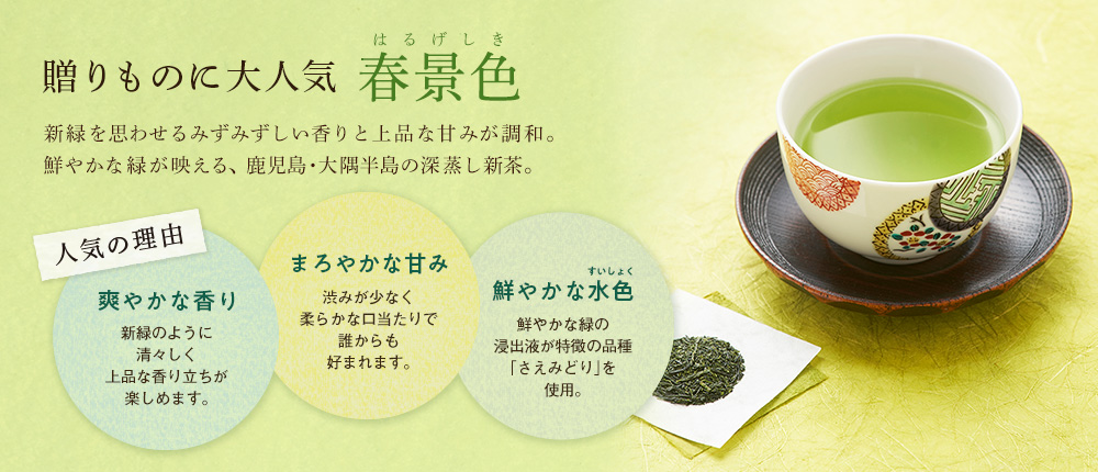 大隅新茶 さえみどり 「春景色」 2021