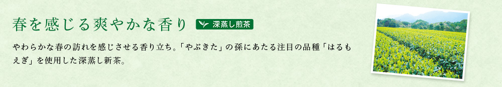 鹿児島・頴娃