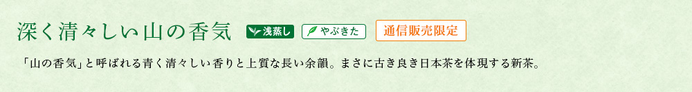 朝宮新茶 特上