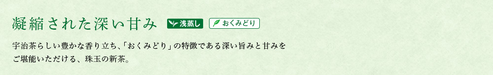 宇治新茶 おくみどり