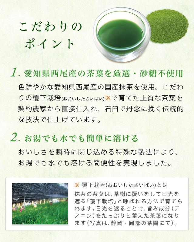 LUPICIA】マッチャウェイ スティック10本BOX入・プレーン 8844