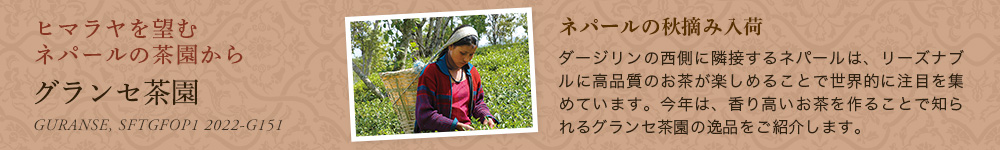 グランセ茶園