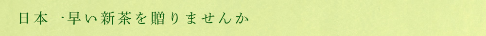 日本一早い新茶を贈りませんか