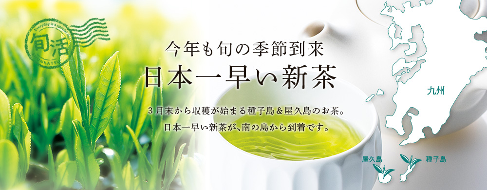 今年も旬の季節到来 日本一早い新茶