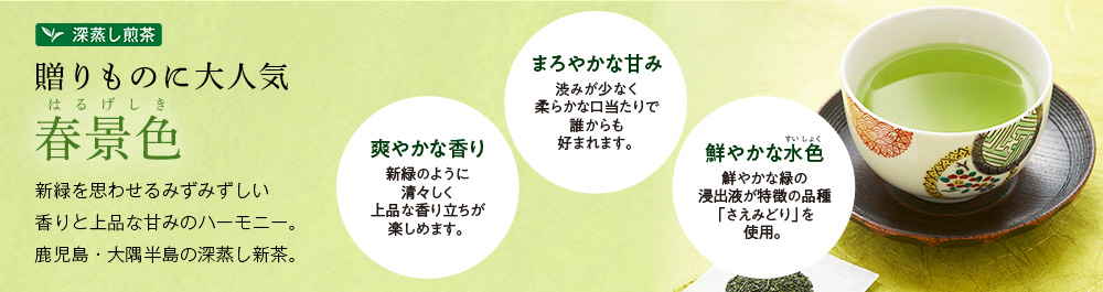 大隅新茶 さえみどり 「春景色」