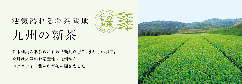 九州の新茶