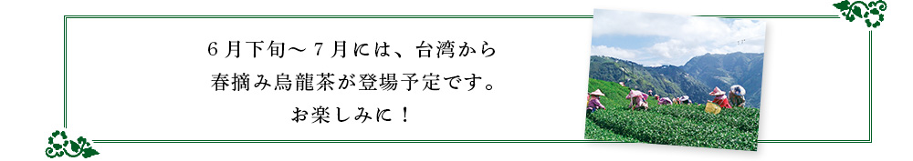 6月下旬〜7月頃登場