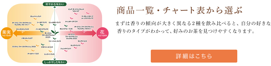 iꗗE`[g\I