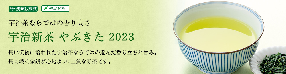 宇治新茶 やぶきた