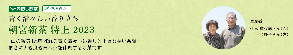 朝宮新茶 特上