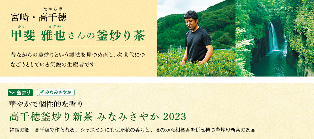 高千穂釜炒り新茶 みなみさやか