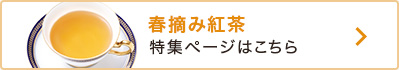 utEݍgvWy[W͂