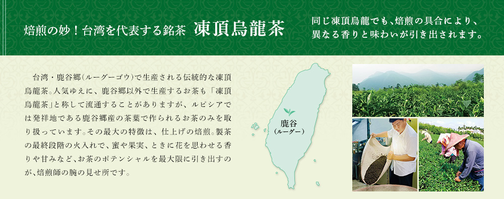 凍頂烏龍茶