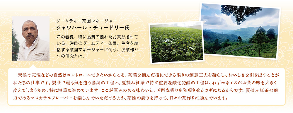 コメント