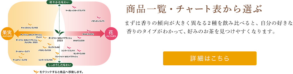 iꗗE`[g\I