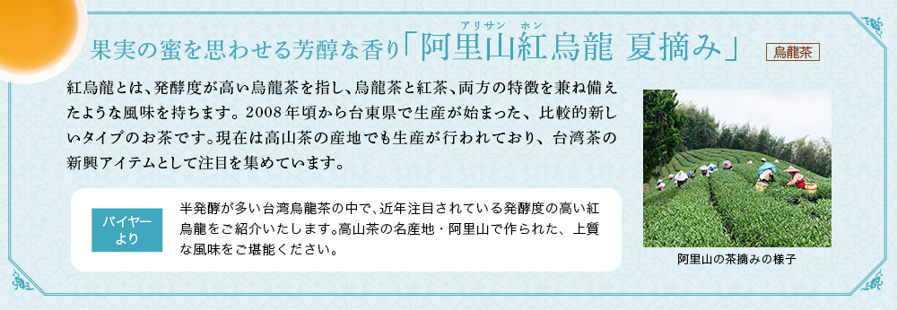 阿里山紅烏龍 夏摘み