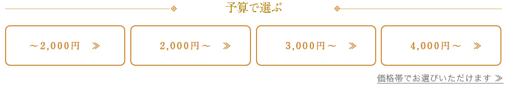 \ZI
