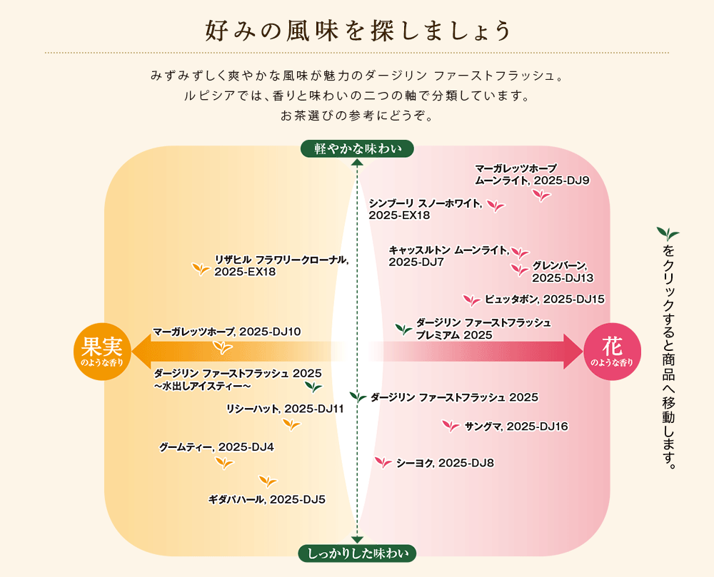 テイスティングチャート 2025