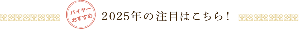 バイヤーおすすめ