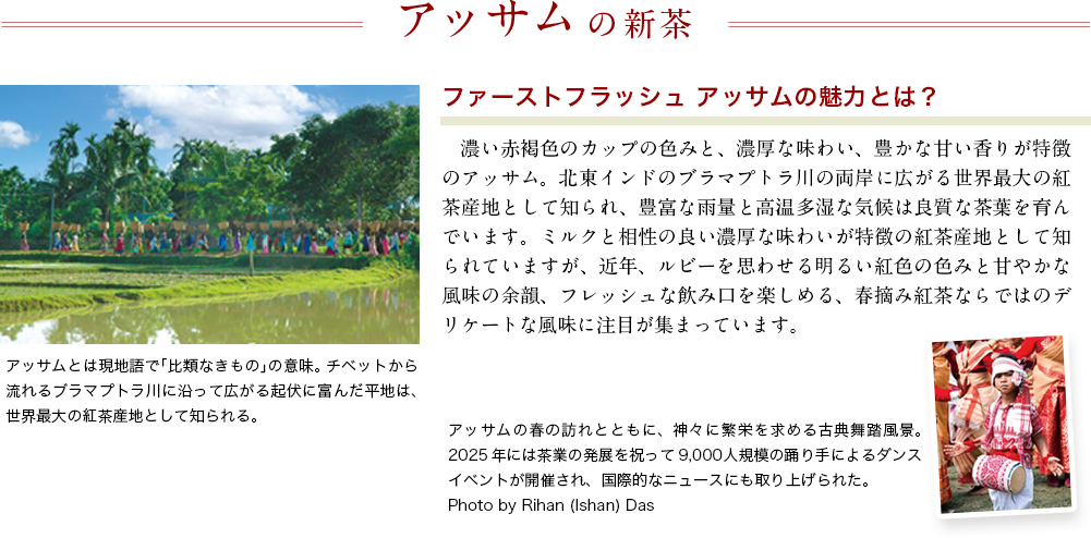 アッサムの新茶